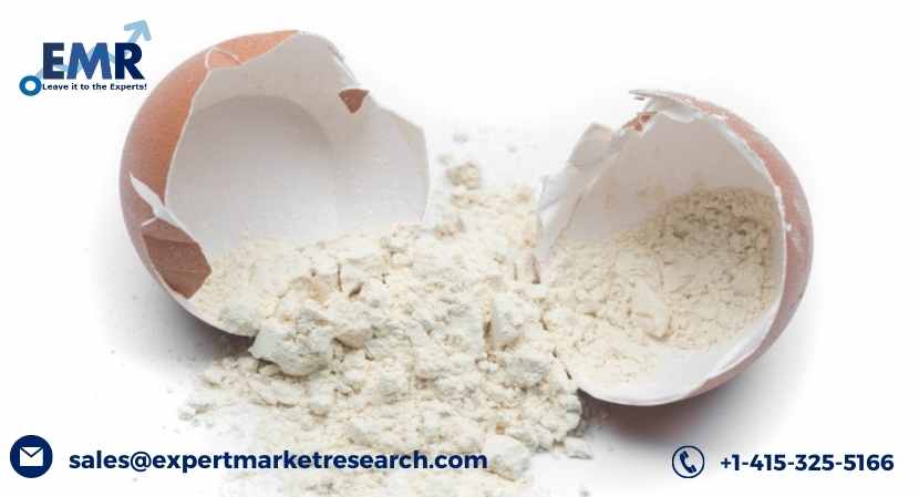 Egg White Protein Powder Market