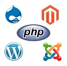 Why is PHP Used in Commercial Businesses?