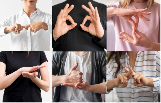 The Global Standout for British Sign Language Recognition