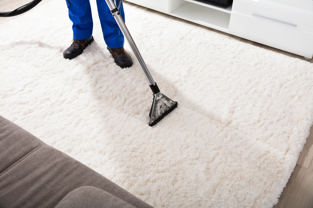 Upholstery area rug cleaning