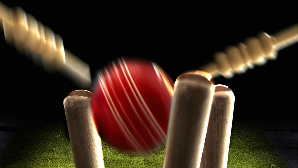 indoor cricket training