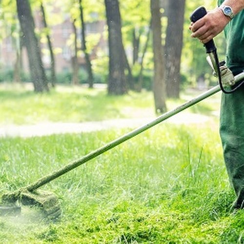 Commercial Lawn Care Services