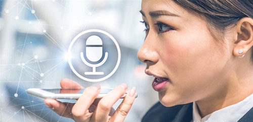 Voice Payment Market