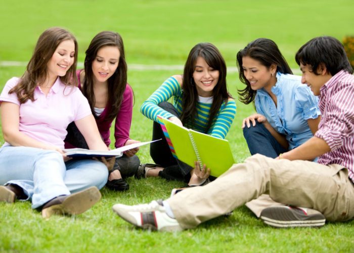 Online Assignment Help