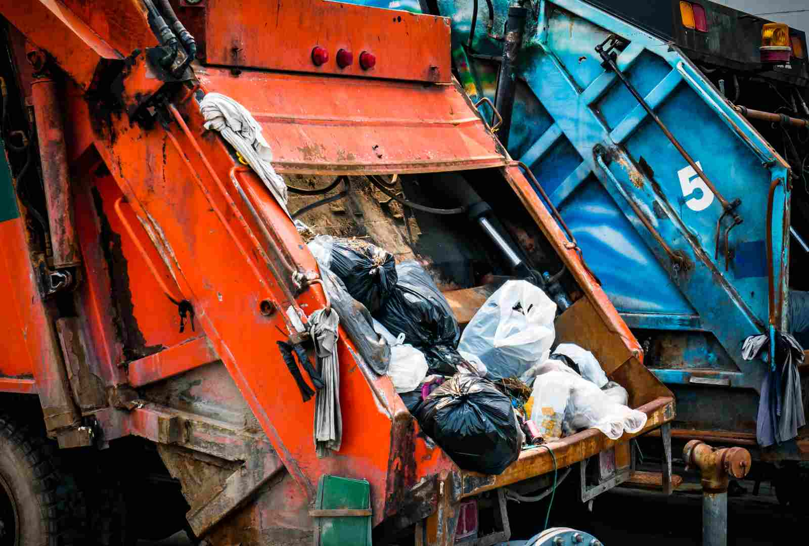 Junk Removal Apollo Beach