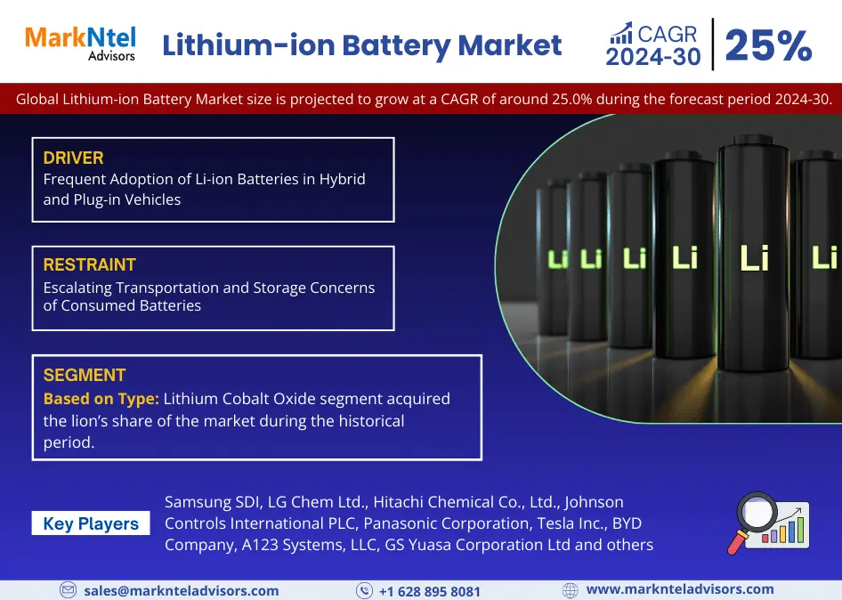 Lithium Ion Battery Market