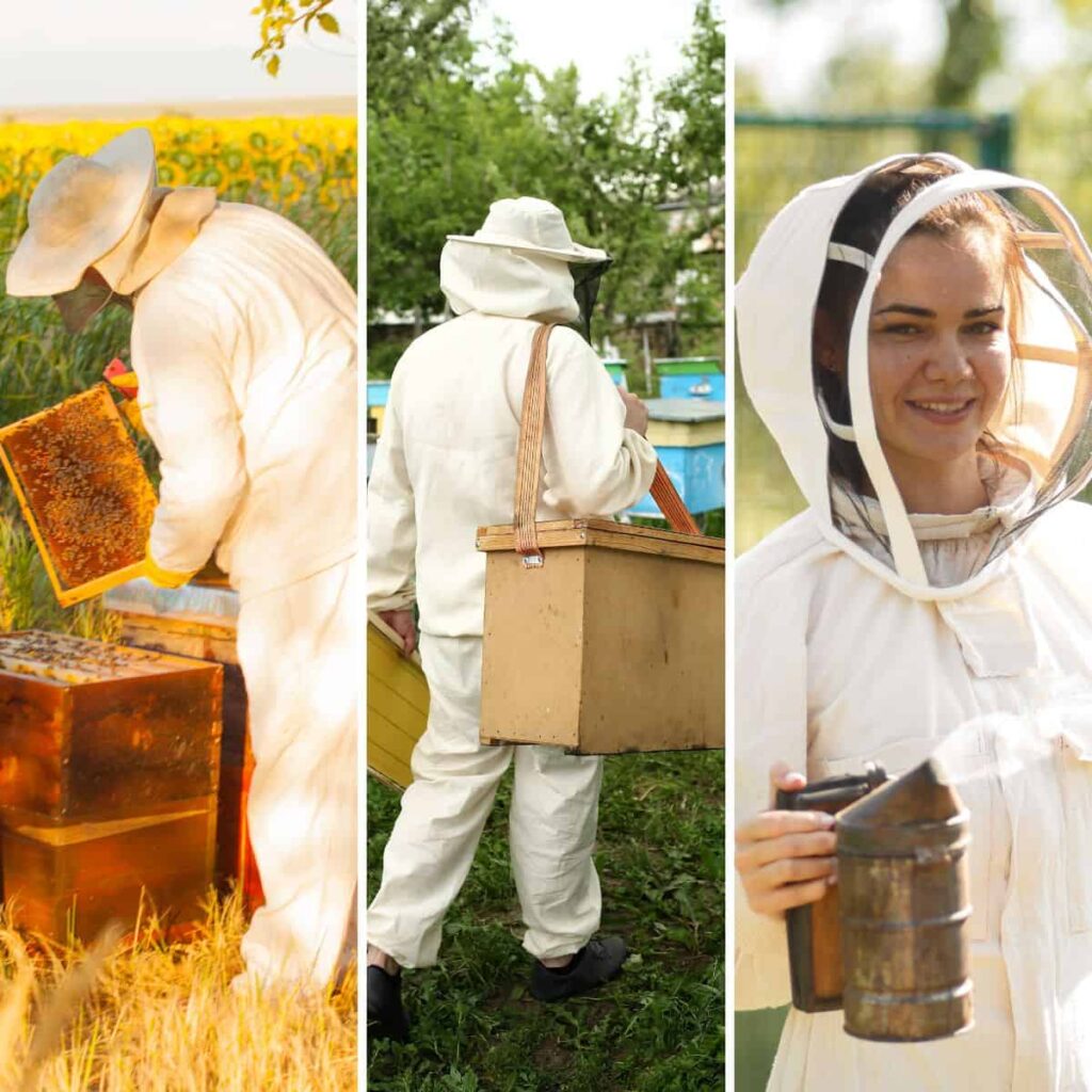 Beekeeping Suits Ventilated Leather Gloves | Bee Brothers Industry