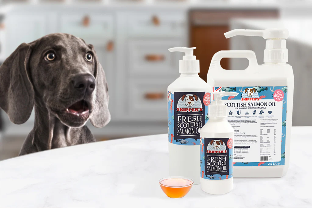 salmon-oil-for-dogs