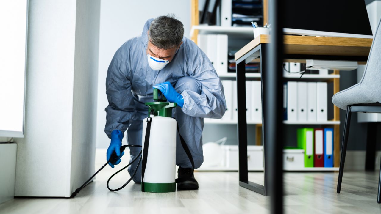 Commercial Pest Control in Perth