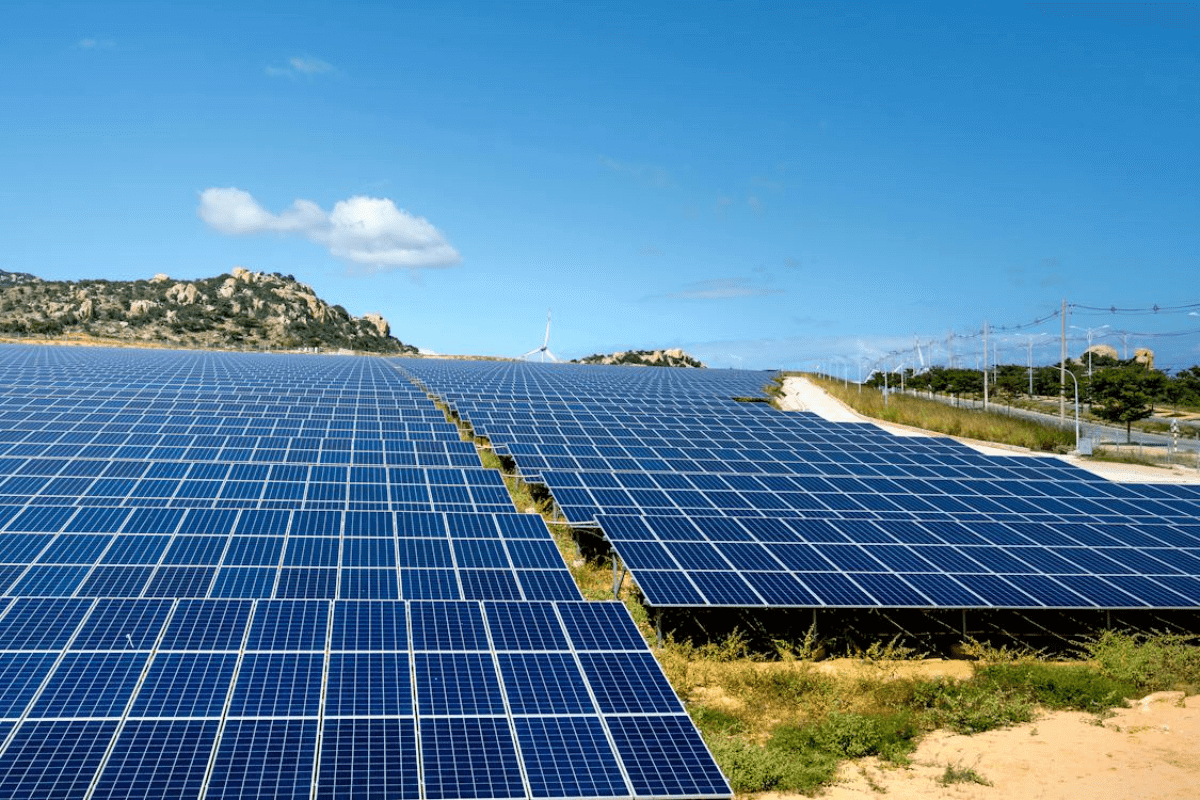 Solar Vegetation Management