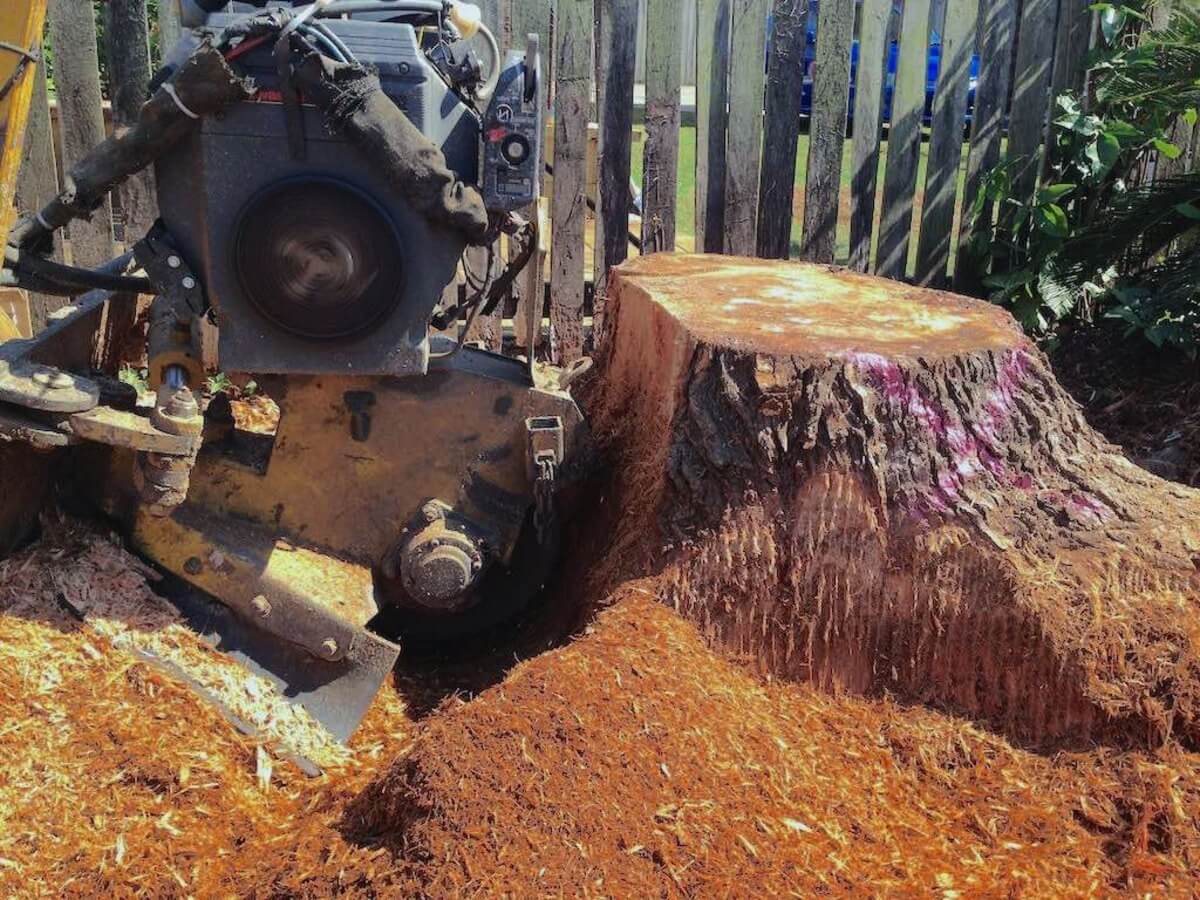 Stump Grinding