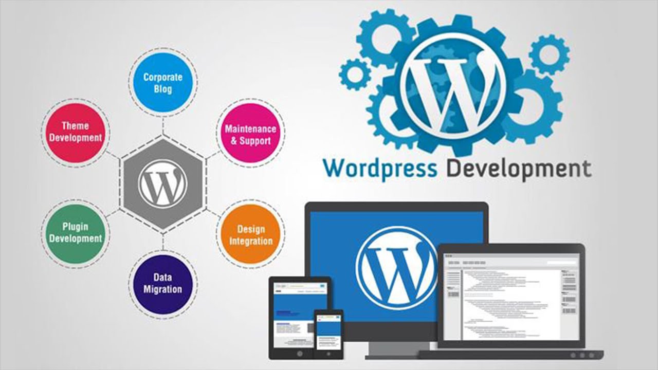 affordable WordPress SEO Services in dubai