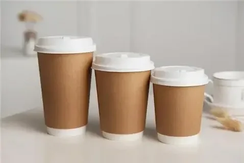 The Importance of Double-Wall Paper Cups in Day-to-Day Living