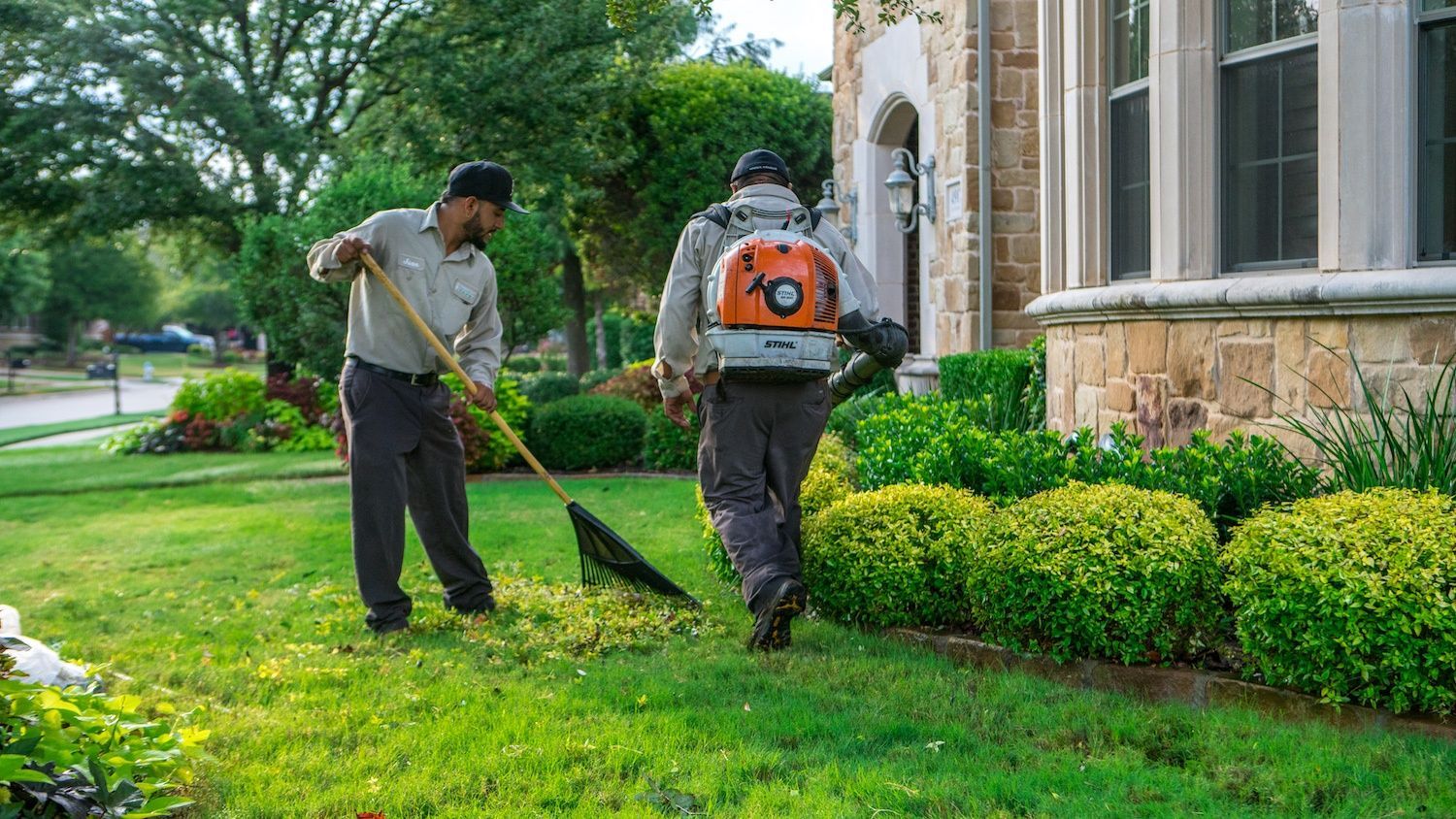 How Often Should You Clean and Maintain Your Garden in Dubai